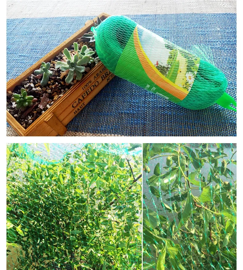 1pcs Green Bird net Grape Strawberry Orchard protection net pond anti deciduous Fishpond bird net Bird proof net for fruit trees
1pcs Green Bird net Grape Strawberry Orchard protection net pond anti deciduous Fishpond bird net Bird proof net for fruit trees