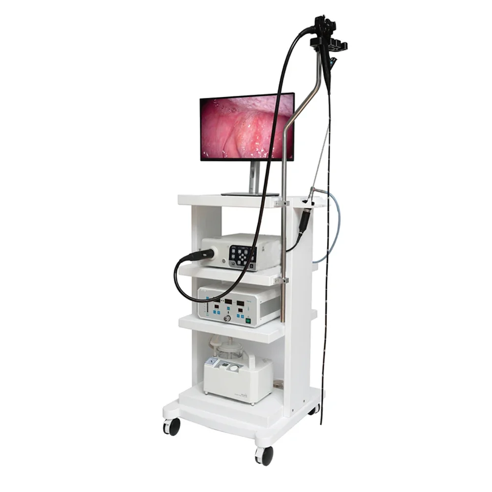 Medical Flexible Endoscope Gastroscope& Colonoscope Imaging Endoscopy System for Veterinary
Medical Flexible Endoscope Gastroscope& Colonoscope Imaging Endoscopy System for Veterinary