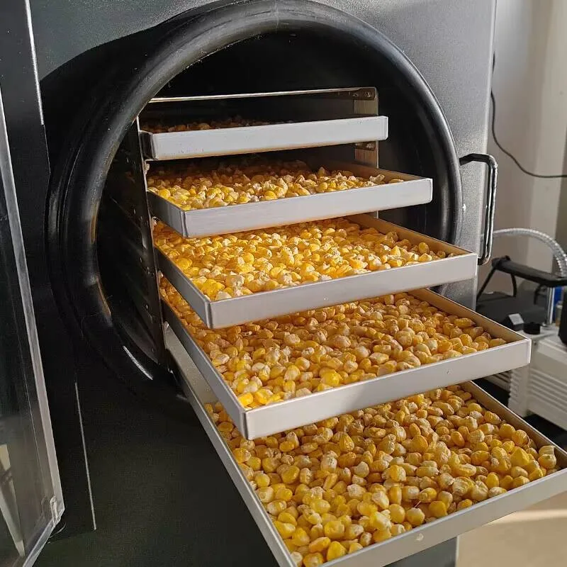 Бытовая компактная низкая цена, пятислойная машина для замораживания фруктов и продуктов питания, 470*630*810 SUS304, энергосберегающая
Бытовая компактная низкая цена, пятислойная машина для замораживания фруктов и продуктов питания, 470*630*810 SUS304, энергосберегающая