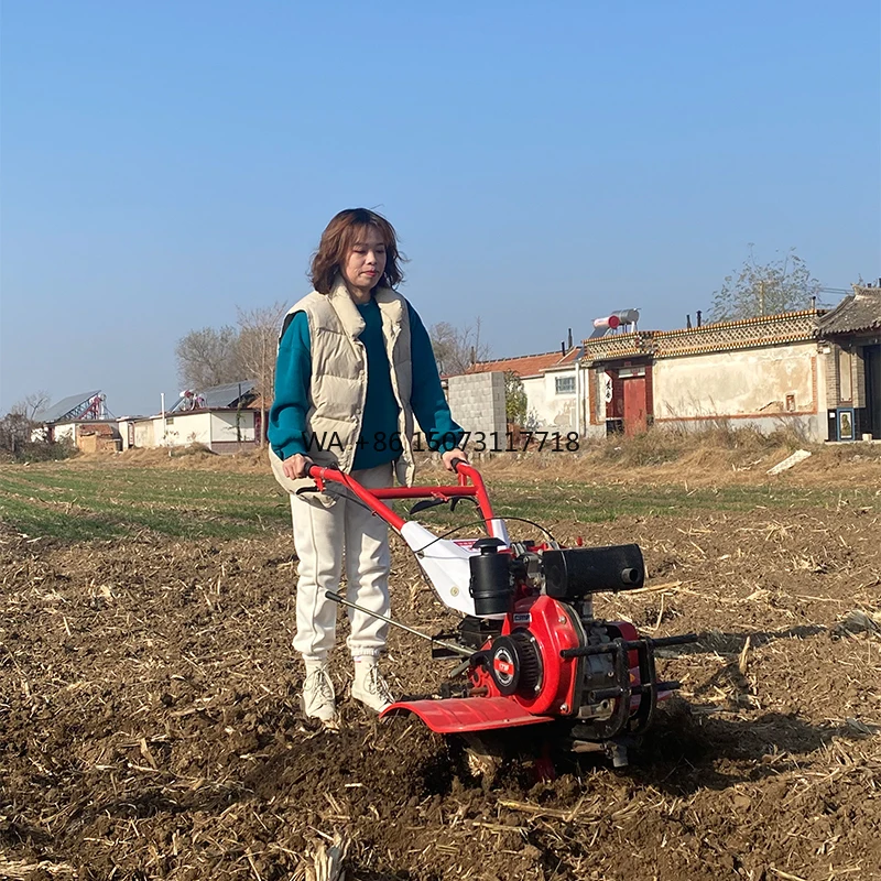 Two-wheel China Multi Function Power Tiller Rice Power Tiller Power Tiller Price
Two-wheel China Multi Function Power Tiller Rice Power Tiller Power Tiller Price