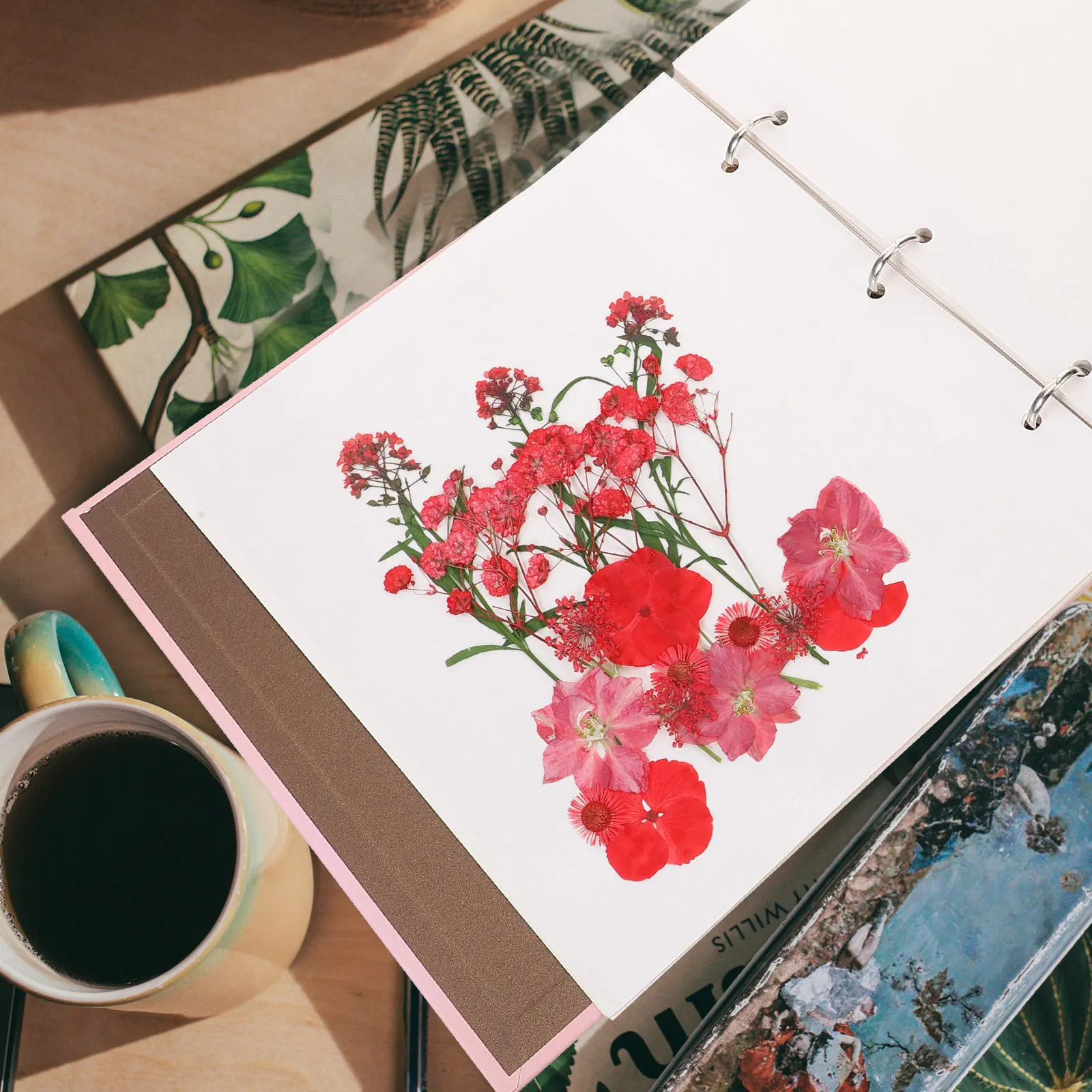 Decorative Pressed Flower Album Loose-Leaf Dried Flower Storage Binder For Diy Craft Plant Specimen Collection Notebook
Decorative Pressed Flower Album Loose-Leaf Dried Flower Storage Binder For Diy Craft Plant Specimen Collection Notebook