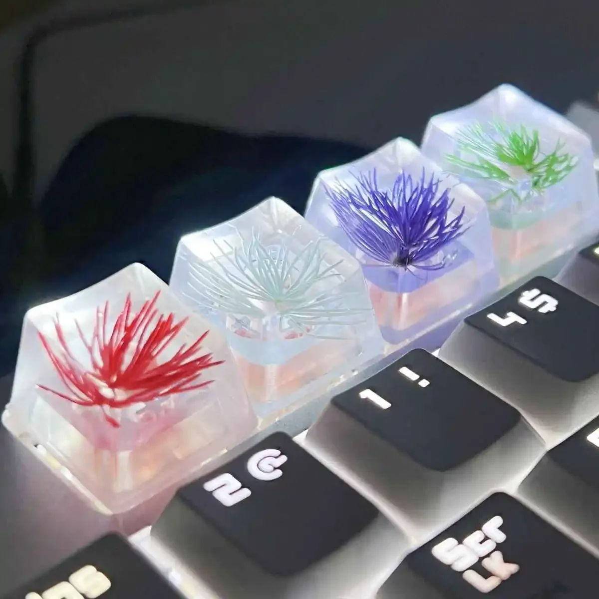 1PC Resin Keycap drop glue high permeable Pine needle spline OEM Profile Personalized MX Cross Switch mechanical keyboard keycap
1PC Resin Keycap drop glue high permeable Pine needle spline OEM Profile Personalized MX Cross Switch mechanical keyboard keycap