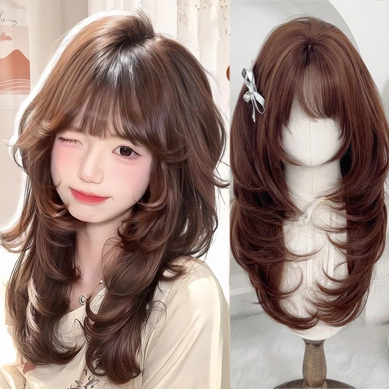 Long Wigs with Bangs-Synthetic Natural Looking Layered Straight Hair Wig for Women Daily Party Costume, 26inch Linen Brown
Long Wigs with Bangs-Synthetic Natural Looking Layered Straight Hair Wig for Women Daily Party Costume, 26inch Linen Brown