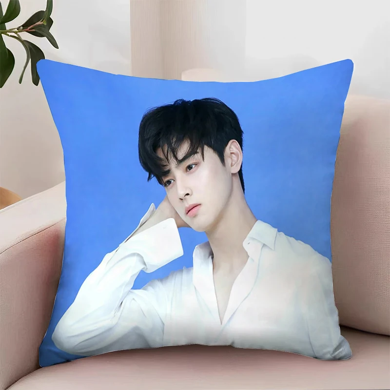 C-Cha Eun Woo Cover for Pillow Cases 45x45 Cushion Cover Covers for Bed Pillows Decorative Pillowcases Home Decoration Cushions
C-Cha Eun Woo Cover for Pillow Cases 45x45 Cushion Cover Covers for Bed Pillows Decorative Pillowcases Home Decoration Cushions