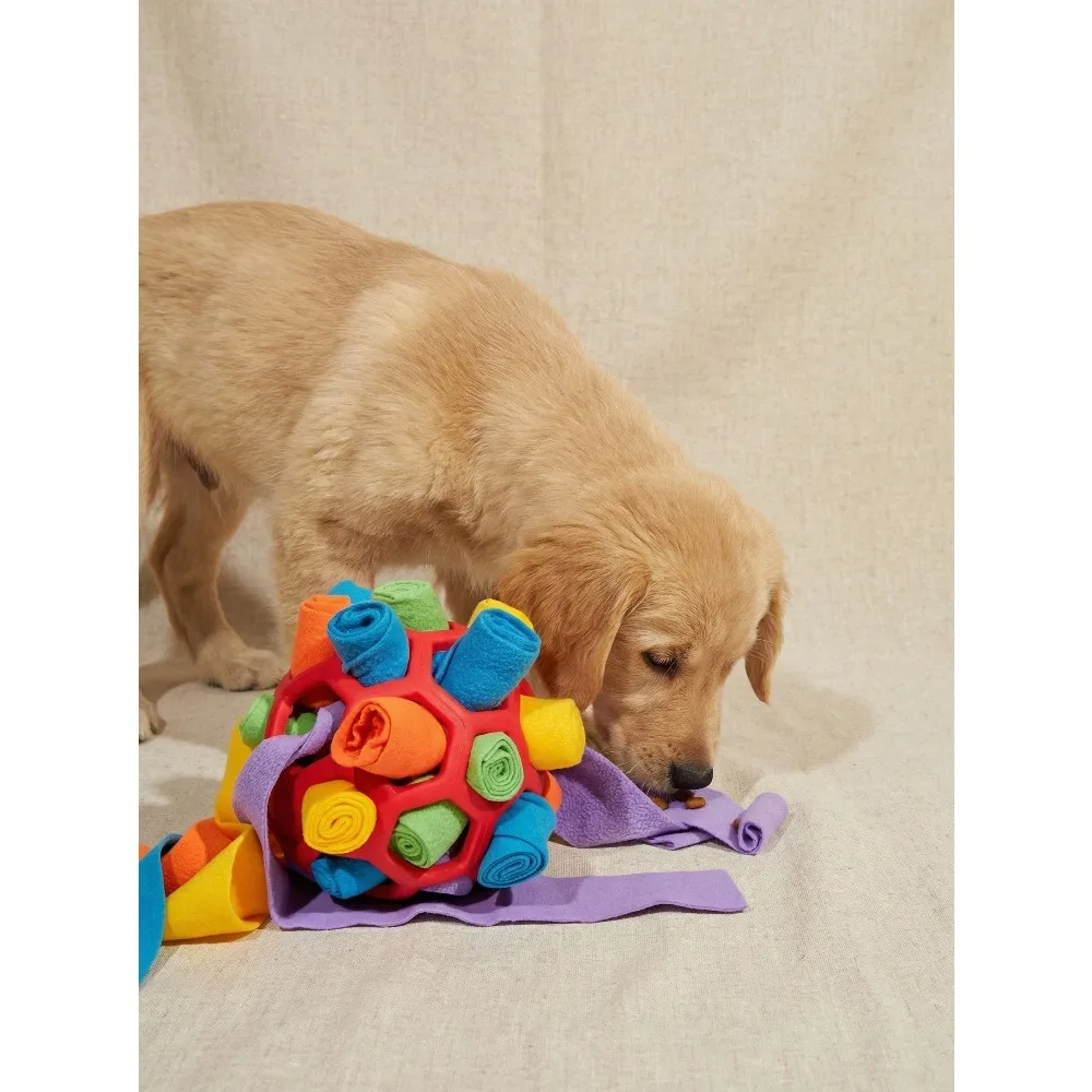 PETSIN 1pc Dog Sniff Ball Toy, Can Hide Treats & Bubbles, Rubber Ball Sniff Puzzle Toy For Developing Intelligence & Strengthening Body
PETSIN 1pc Dog Sniff Ball Toy, Can Hide Treats & Bubbles, Rubber Ball Sniff Puzzle Toy For Developing Intelligence & Strengthening Body