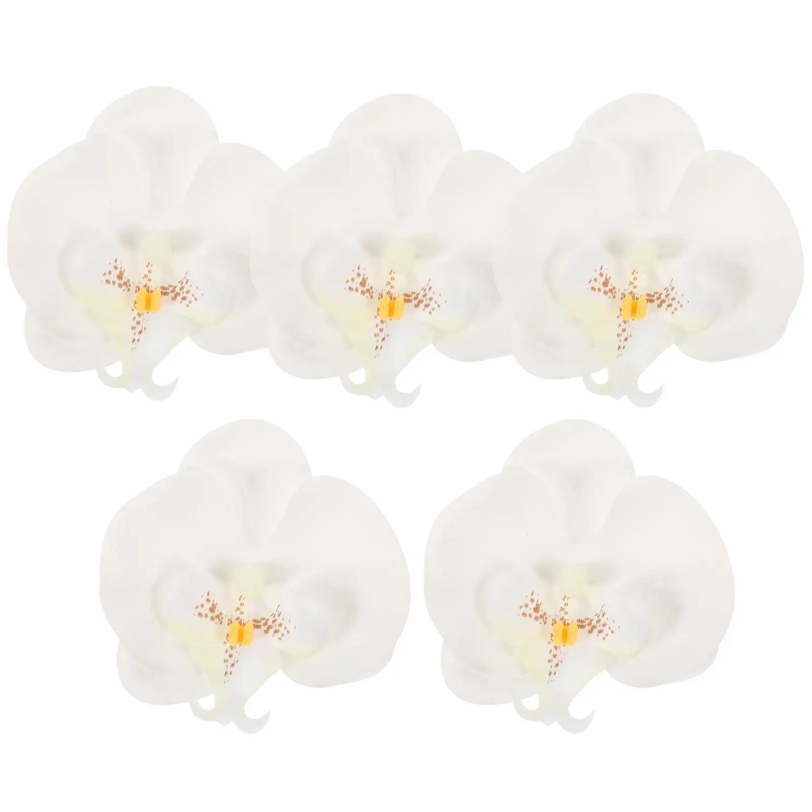 5 Pcs Phalaenopsis Headdress Heads for Crafts Flower Bouquet Accessories Fake Faux Flowers Orchids Home
5 Pcs Phalaenopsis Headdress Heads for Crafts Flower Bouquet Accessories Fake Faux Flowers Orchids Home
