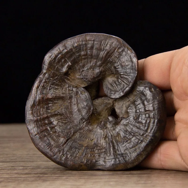 Antique Style Ganoderma Small Ornament Home Craft Tea Ceremony Pet Lid Holder Small Ganoderma Ornament
Antique Style Ganoderma Small Ornament Home Craft Tea Ceremony Pet Lid Holder Small Ganoderma Ornament