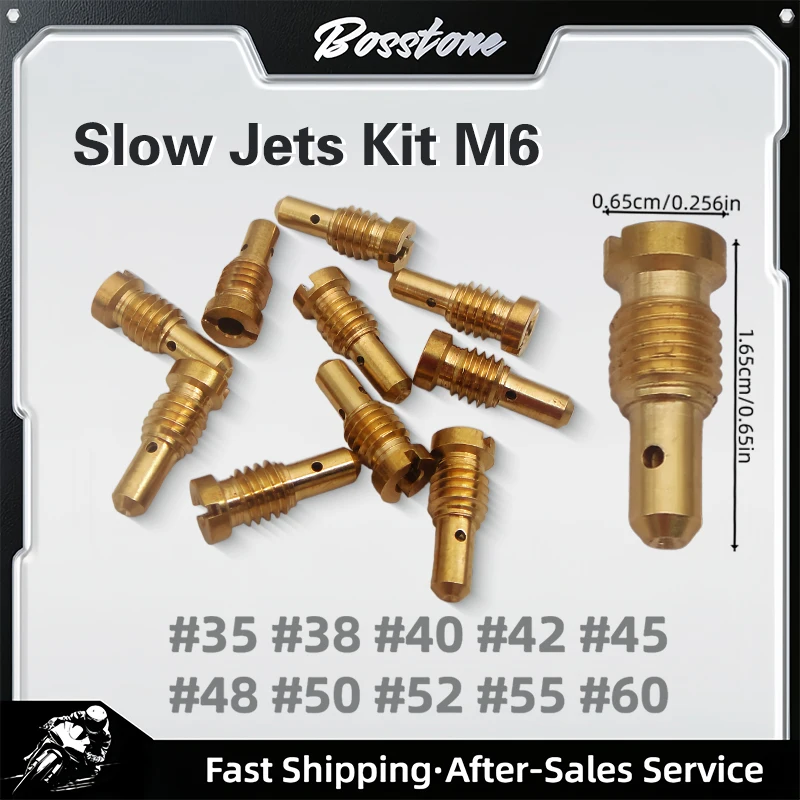 Generator Snow Blower Carburetor Slow Jets Kit M6*1 M6*0.75 for Kohler Mikuni
Generator Snow Blower Carburetor Slow Jets Kit M6*1 M6*0.75 for Kohler Mikuni