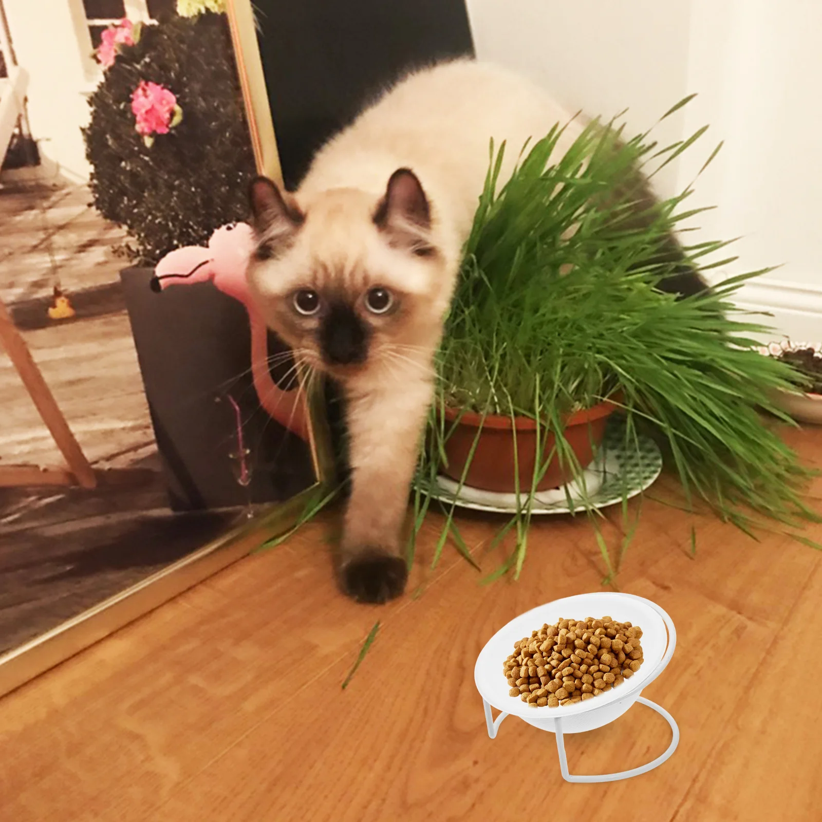 Disposable Pet Bowls for Cats Dogs Paper Food Bowl Large Capacity Smooth Surface Ideal Outdoor Indoor Use Pet Supplies
Disposable Pet Bowls for Cats Dogs Paper Food Bowl Large Capacity Smooth Surface Ideal Outdoor Indoor Use Pet Supplies