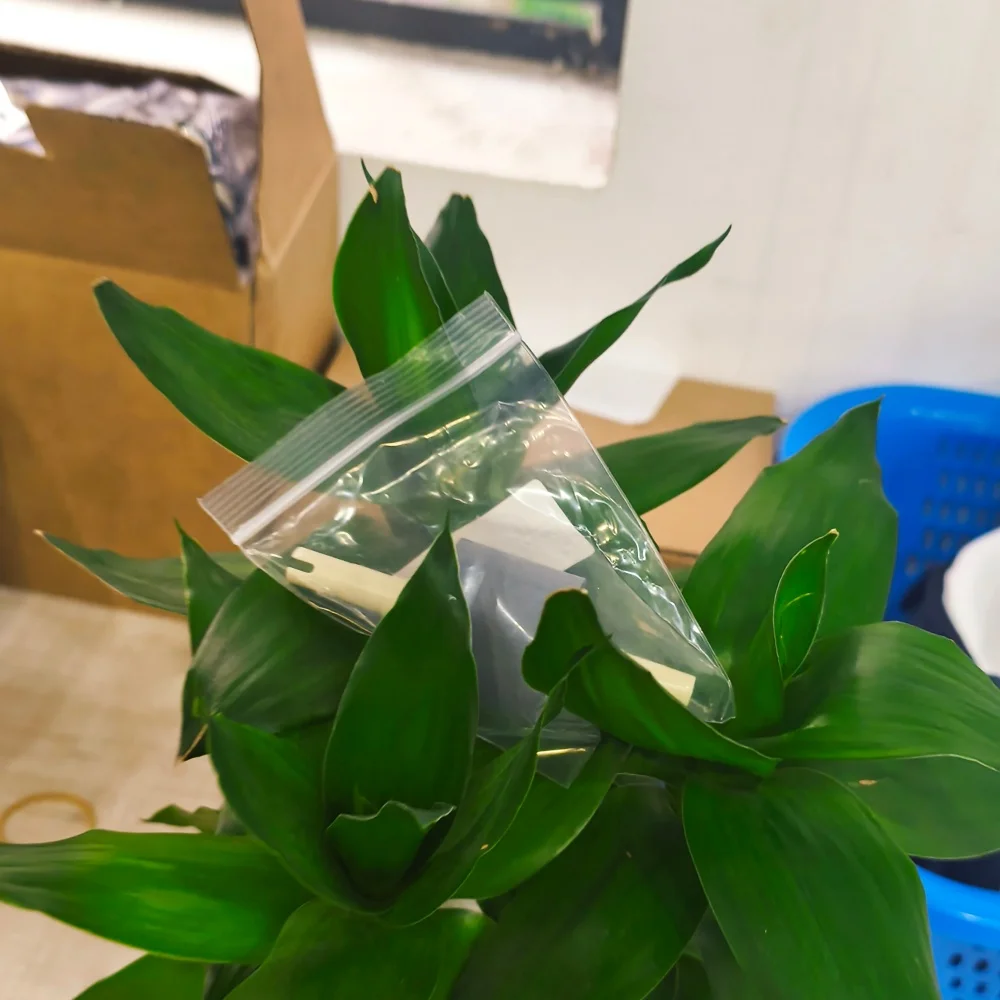 50X Pickup Roller for HP 1160 1320 2100 2200 2300 2400 2410 2420 2430 3390 3392 M2727 P2014 P2015 1500 2500 2550 2820 2830 2840
50X Pickup Roller for HP 1160 1320 2100 2200 2300 2400 2410 2420 2430 3390 3392 M2727 P2014 P2015 1500 2500 2550 2820 2830 2840