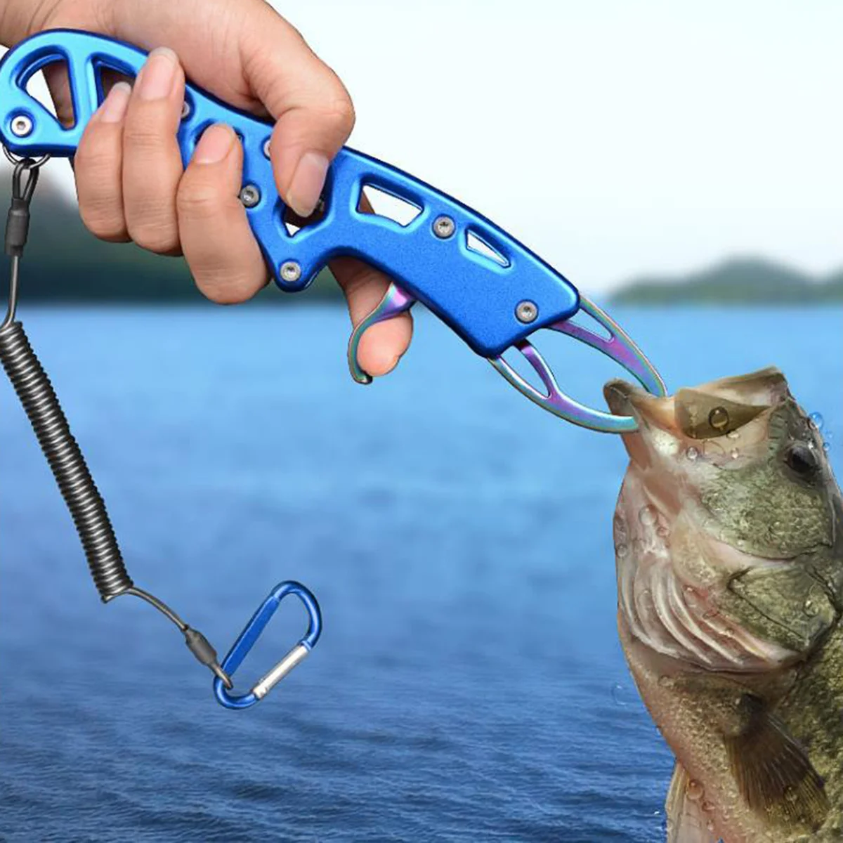 Aluminum Fish Gripper Blue Thick Durable Lightweight Fishing Controller Clamp For Outdoor Use Fishing Supplies Fish Lip
Aluminum Fish Gripper Blue Thick Durable Lightweight Fishing Controller Clamp For Outdoor Use Fishing Supplies Fish Lip