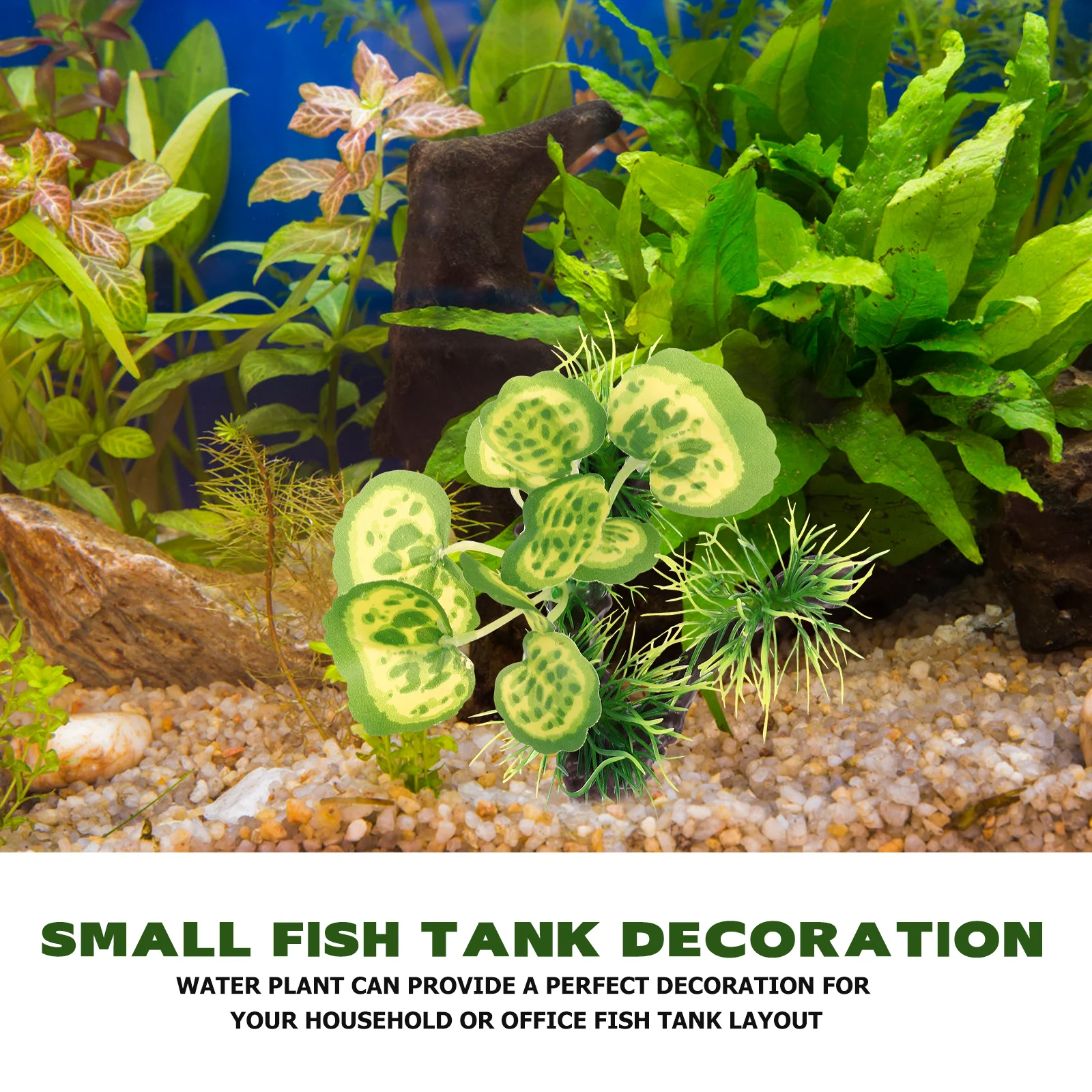 Artificial Aquatic PlantsPlants for Terrarium Fish Tank Decoration Plastic Aquarium Grass L scape Accessories
Artificial Aquatic PlantsPlants for Terrarium Fish Tank Decoration Plastic Aquarium Grass L scape Accessories