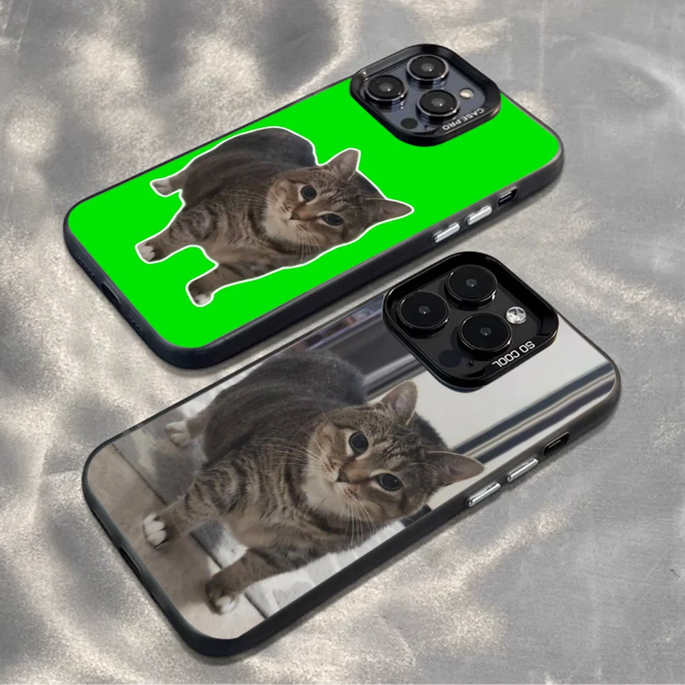 Uia Uia Ethel Cat Phone Case For iPhone16,15,14,13,12,11,Mini,Pro,MAX Color Silver Shell Matte Shockproof Back Cover
Uia Uia Ethel Cat Phone Case For iPhone16,15,14,13,12,11,Mini,Pro,MAX Color Silver Shell Matte Shockproof Back Cover