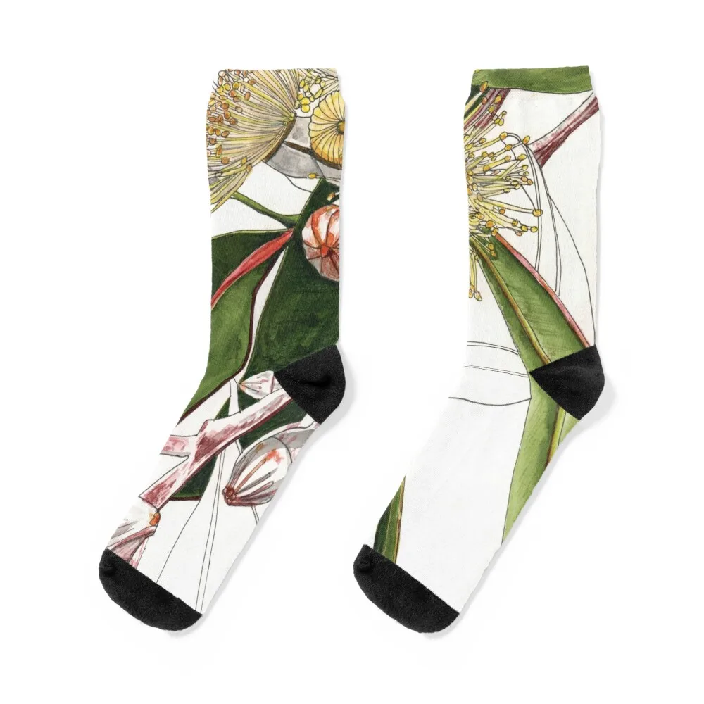 Eucalyptus Mallee Australian Native Socks christmas gift christmas gifts sports and leisure colored Boy Child Socks Women's
Eucalyptus Mallee Australian Native Socks christmas gift christmas gifts sports and leisure colored Boy Child Socks Women's