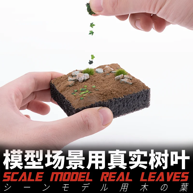 Galaxy Model Scene floor plant leaves Miniature model scene oak Birch Ginkgo Lime Maple leaves For 1/35 DIY plant landscaping
Galaxy Model Scene floor plant leaves Miniature model scene oak Birch Ginkgo Lime Maple leaves For 1/35 DIY plant landscaping