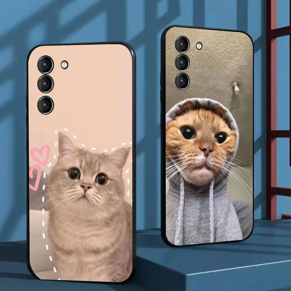 Funny cute cat Phone Case For Samsung Galaxy A73,72,51,53,52,71,22,5G,Note,J7,8,9 Soft Black Cover 
Funny cute cat Phone Case For Samsung Galaxy A73,72,51,53,52,71,22,5G,Note,J7,8,9 Soft Black Cover