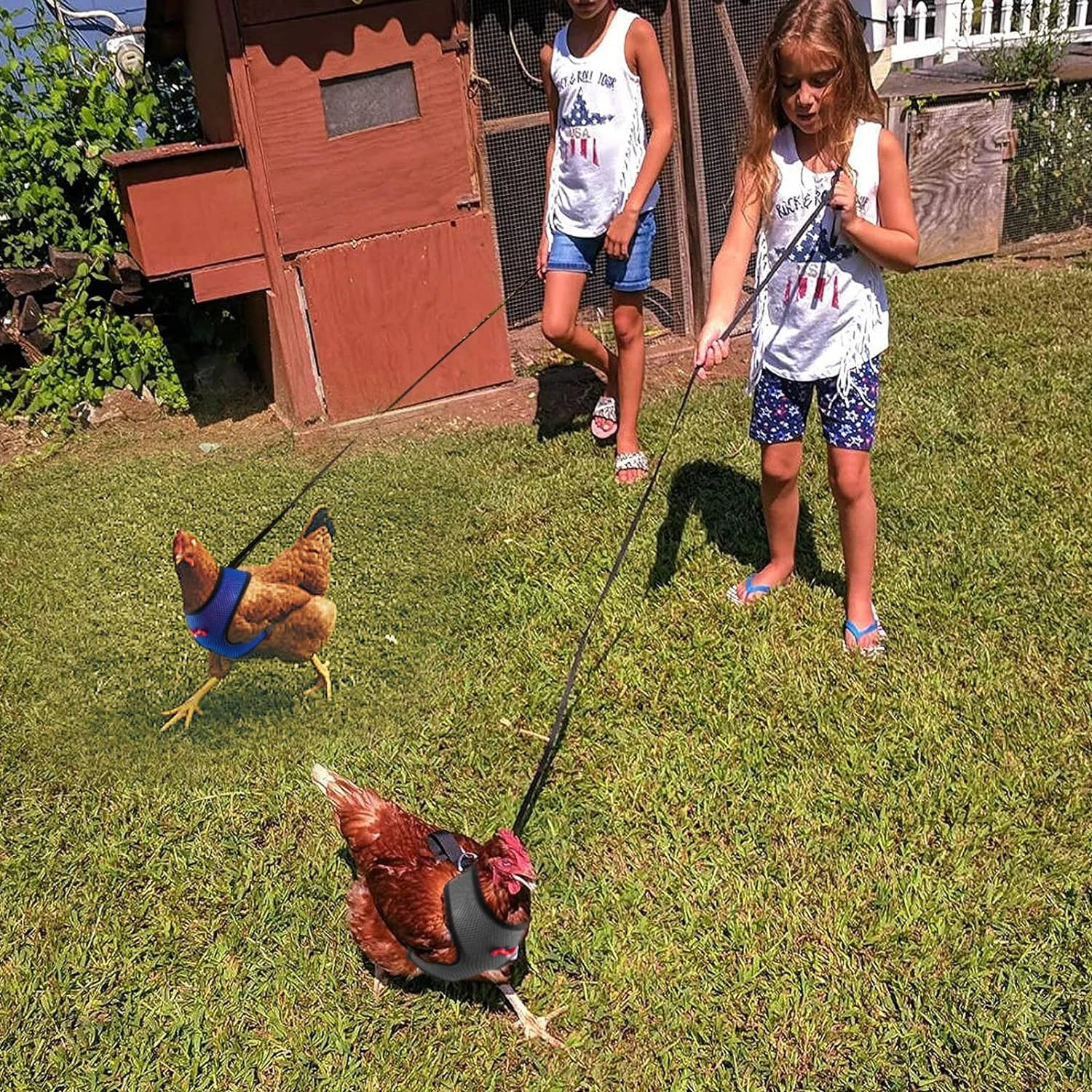 Safe, Exciting, and Essential Lightweight Adjustable Bird Harness and Leash Set for Outdoor Adventures - Comfortable Design for
Safe, Exciting, and Essential Lightweight Adjustable Bird Harness and Leash Set for Outdoor Adventures - Comfortable Design for