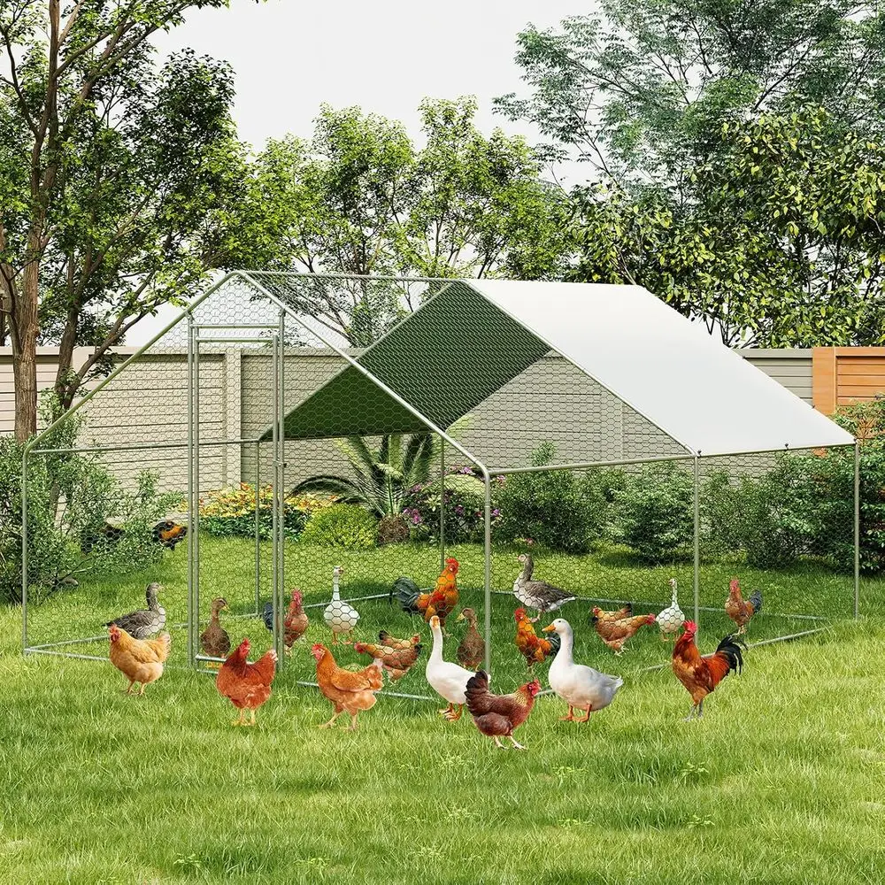 Spacious Outdoor Chicken Coop with Waterproof and UV-Resistant Cover, Suitable for Large Yards (13.1ft L x 6.6ft W x 6.6ft H)
Spacious Outdoor Chicken Coop with Waterproof and UV-Resistant Cover, Suitable for Large Yards (13.1ft L x 6.6ft W x 6.6ft H)