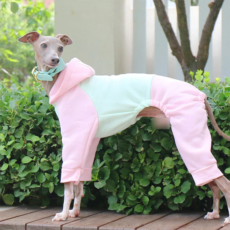 Winter Dog Sweater Italian Greyhound Whippet Warm Dog Coat Pet Fleece Warm Hooded Four-Legged Sweatshirt Jumpsuit
Winter Dog Sweater Italian Greyhound Whippet Warm Dog Coat Pet Fleece Warm Hooded Four-Legged Sweatshirt Jumpsuit