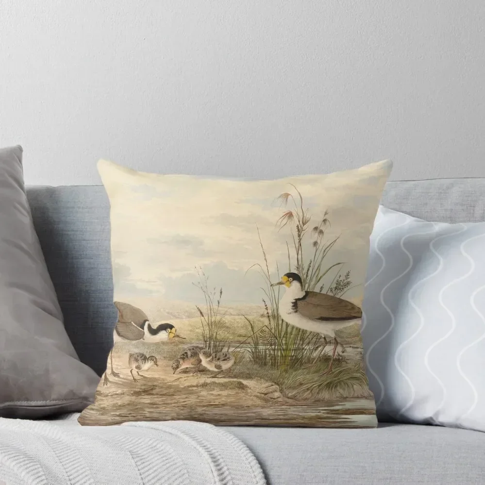 Neville HP Cayley Masked Lapwing, Vanellus miles Throw Pillow pillowcases for sofa cushions Christmas Cushion For Home pillow
Neville HP Cayley Masked Lapwing, Vanellus miles Throw Pillow pillowcases for sofa cushions Christmas Cushion For Home pillow