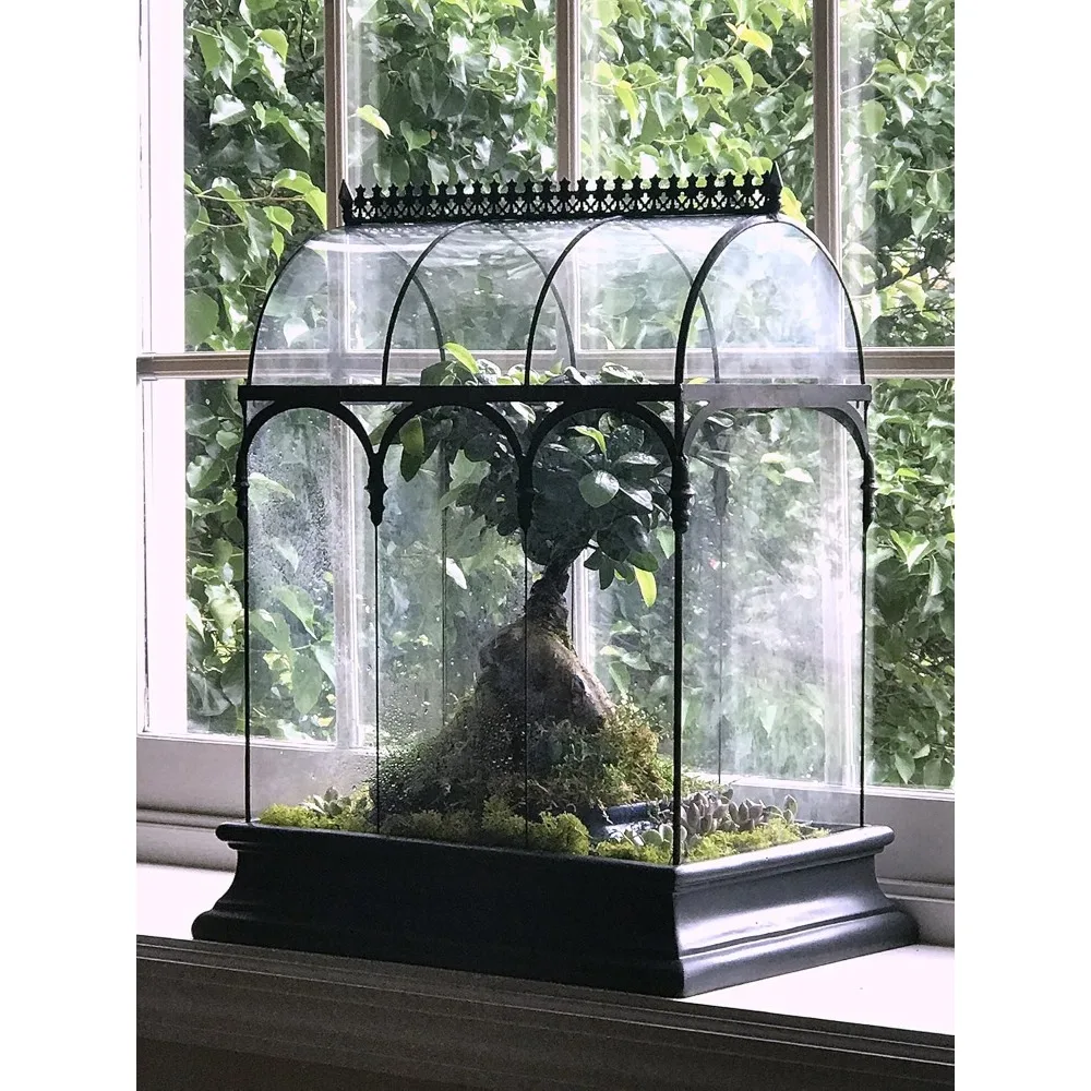 Большой стеклянный контейнер для суккулентов Wardian для растений
Большой стеклянный контейнер для суккулентов Wardian для растений
