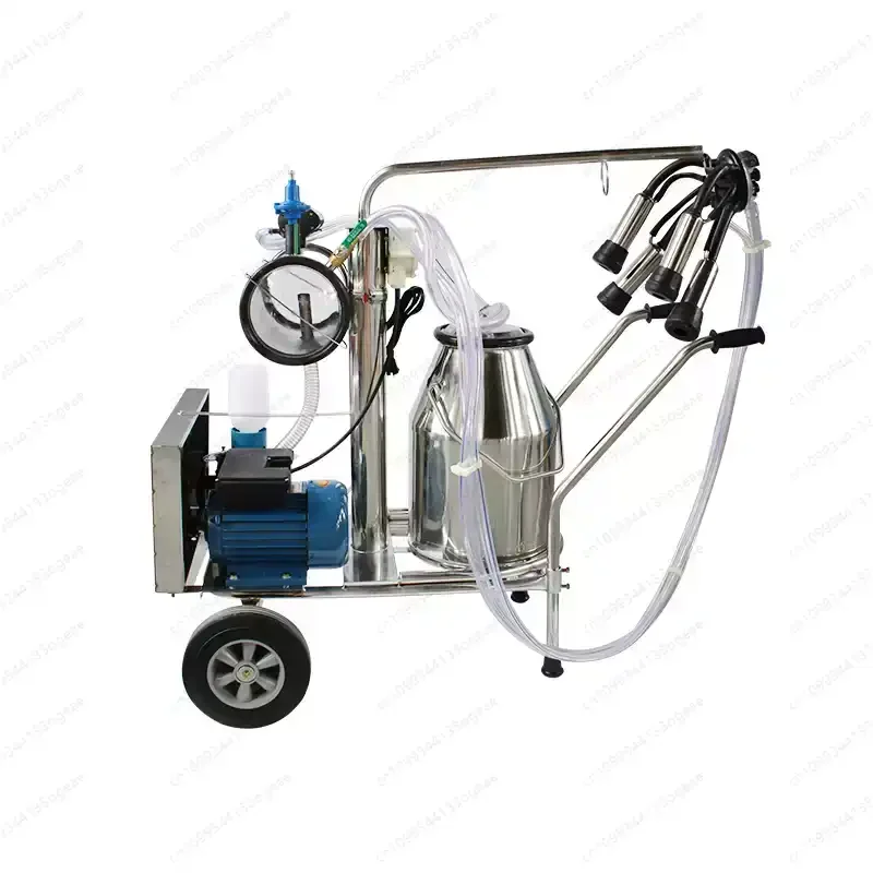 New Design China Easy-to-operate Efficient Stainless Steel Automatic Electric Portable Cow Milking Machine
New Design China Easy-to-operate Efficient Stainless Steel Automatic Electric Portable Cow Milking Machine