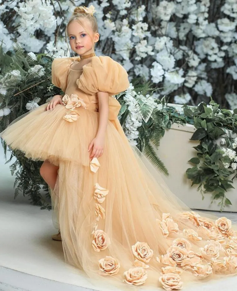 Champagne Tulle 3D Flowers Girl Princess Dresses with Short Puff Sleeve Party Dress Girl Birthday Dress with Long Train
Champagne Tulle 3D Flowers Girl Princess Dresses with Short Puff Sleeve Party Dress Girl Birthday Dress with Long Train