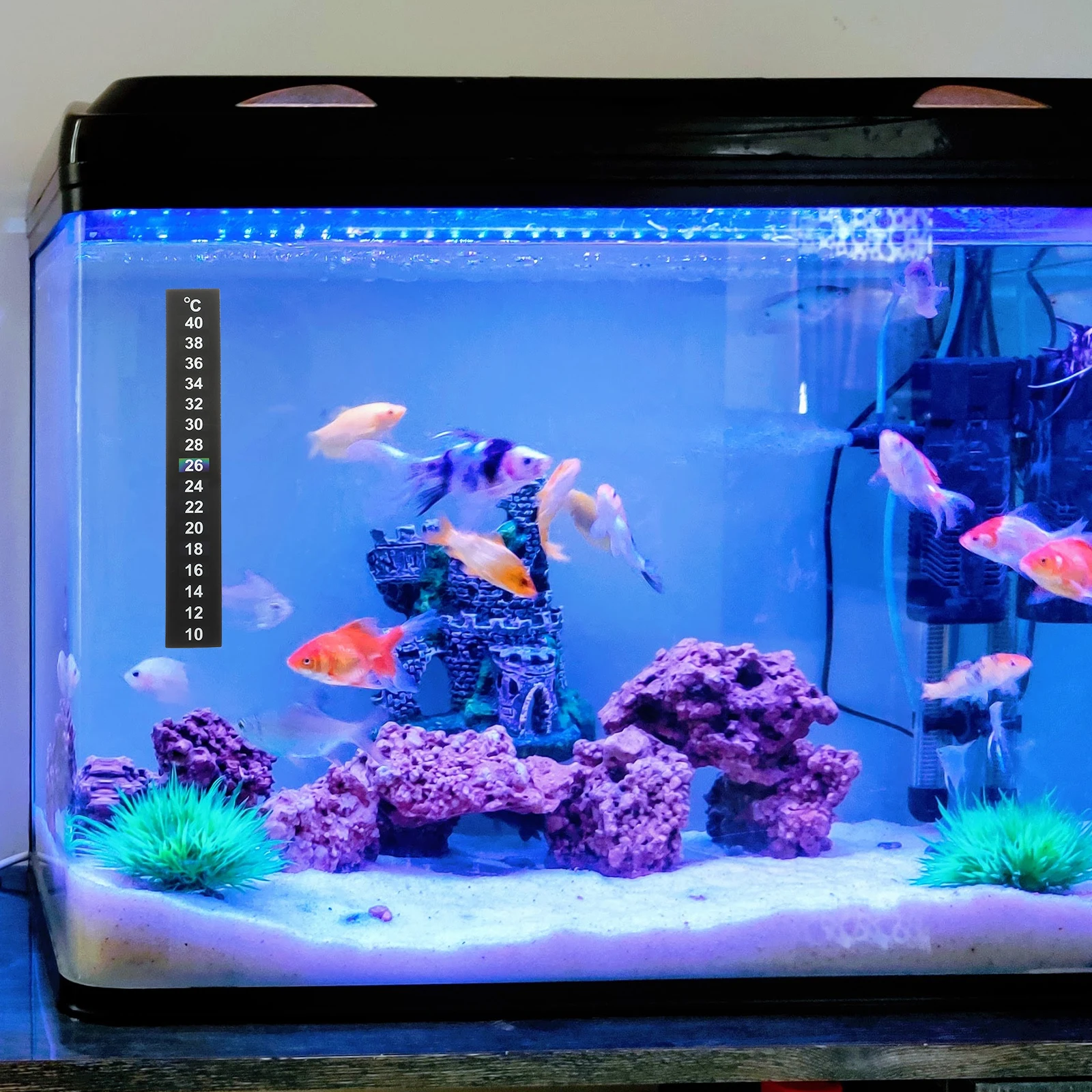15pcs LCD Temperature Bar Thermometer Fish Tank Aquarium Reptile Box Liquid Crystal Material Safe Practical Measuring Range 10
15pcs LCD Temperature Bar Thermometer Fish Tank Aquarium Reptile Box Liquid Crystal Material Safe Practical Measuring Range 10