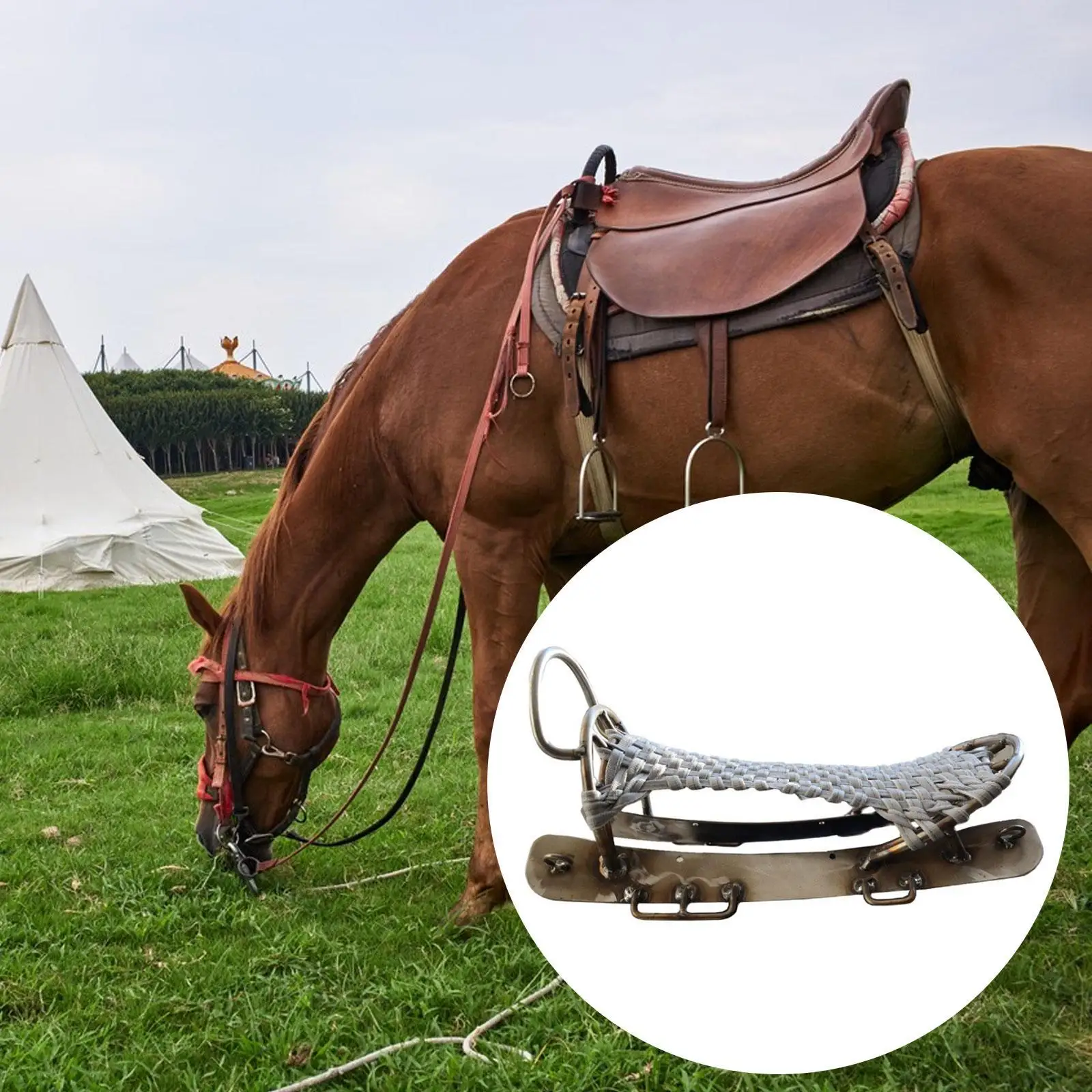 Horse Saddle Skeleton Traditional Horse Tack Easy to Install Sturdy Metal Equestrian Gear Riding Equipment White Stainless Steel
Horse Saddle Skeleton Traditional Horse Tack Easy to Install Sturdy Metal Equestrian Gear Riding Equipment White Stainless Steel