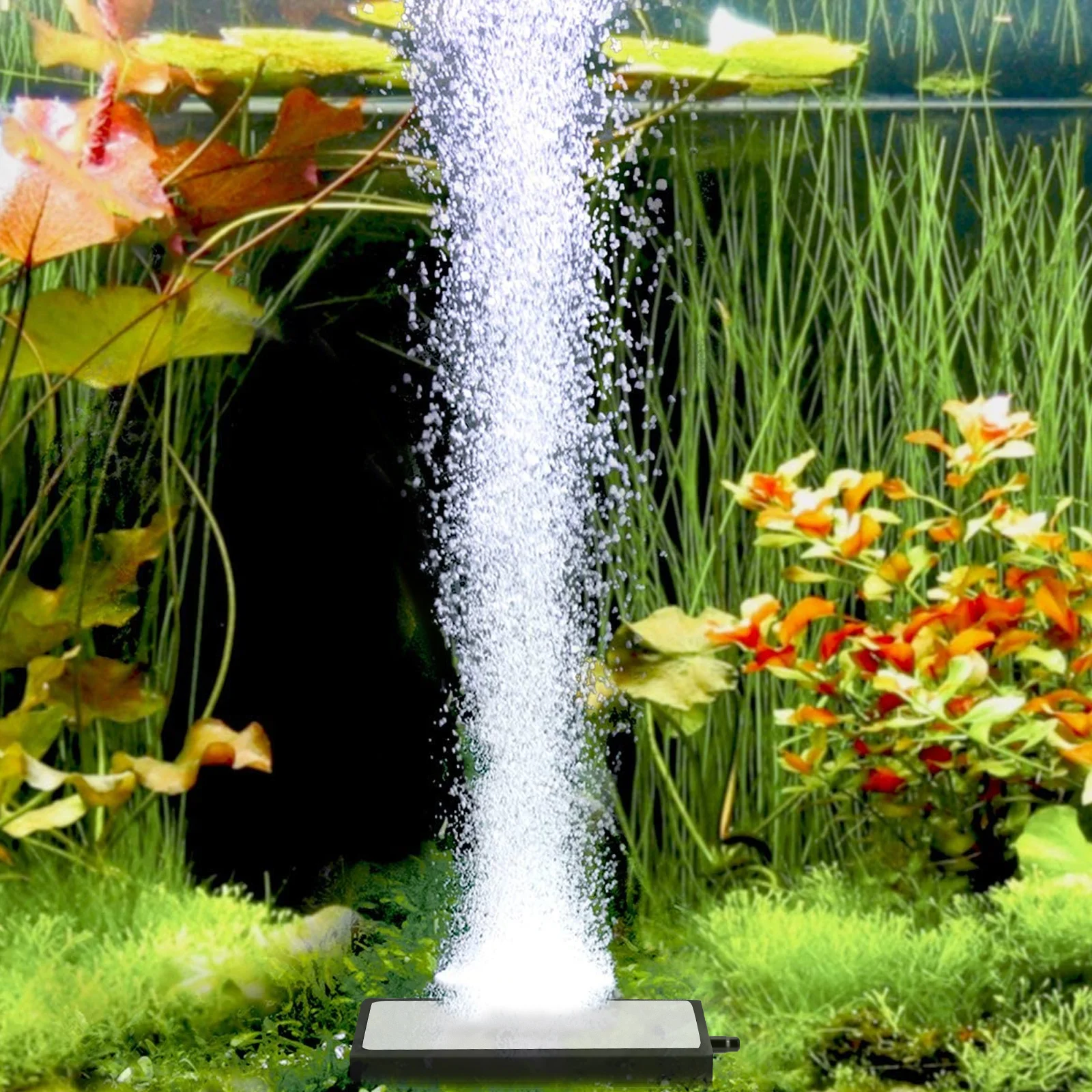 Bubble Stone Air Powered Plug Electric Hydroponic Fish Bowl Diffuser for Aquarium Tank Bubbler Creative
Bubble Stone Air Powered Plug Electric Hydroponic Fish Bowl Diffuser for Aquarium Tank Bubbler Creative