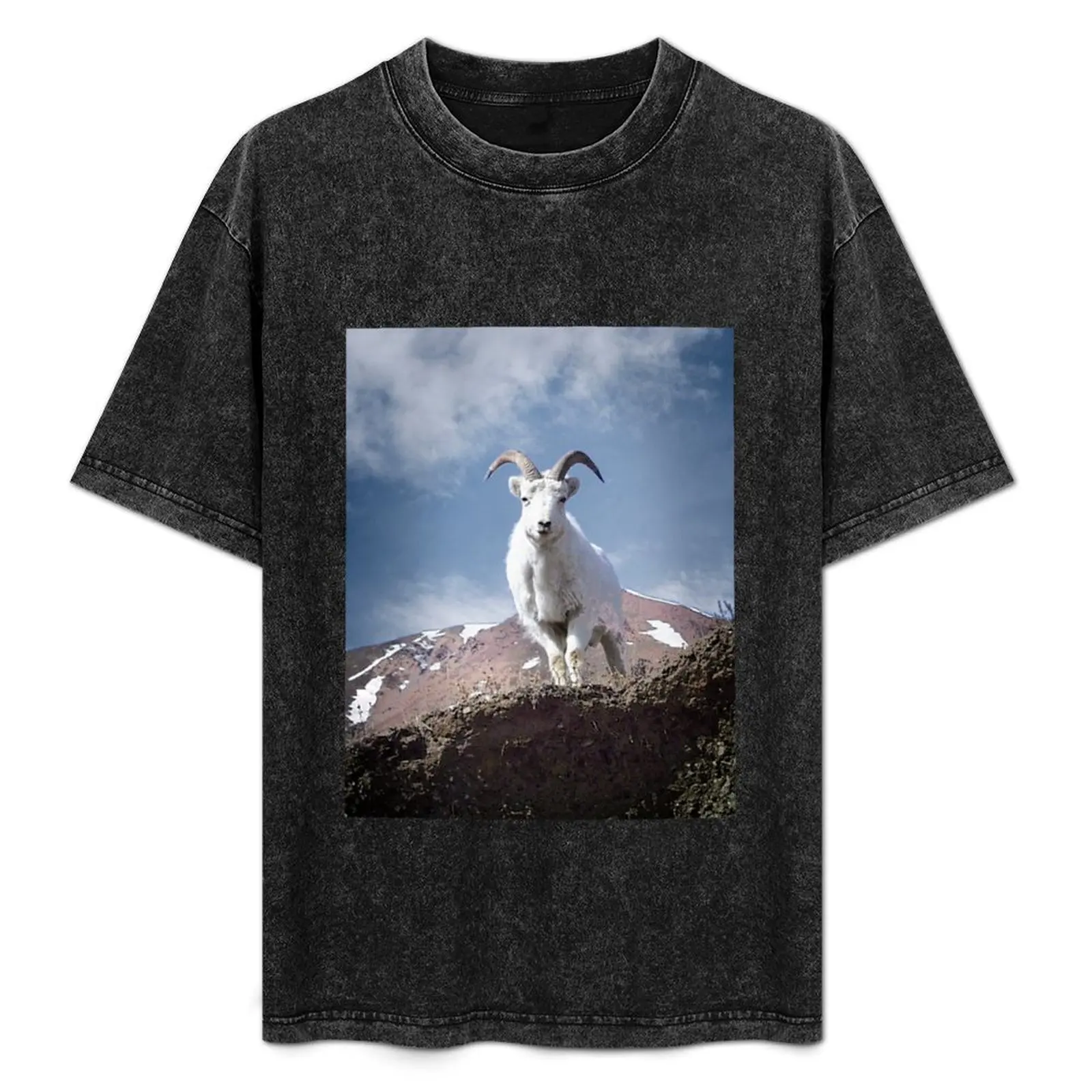 Dall Sheep on Sheep Mountain T-Shirt Lightweight Gym Training T-Shirt
Dall Sheep on Sheep Mountain T-Shirt Lightweight Gym Training T-Shirt
