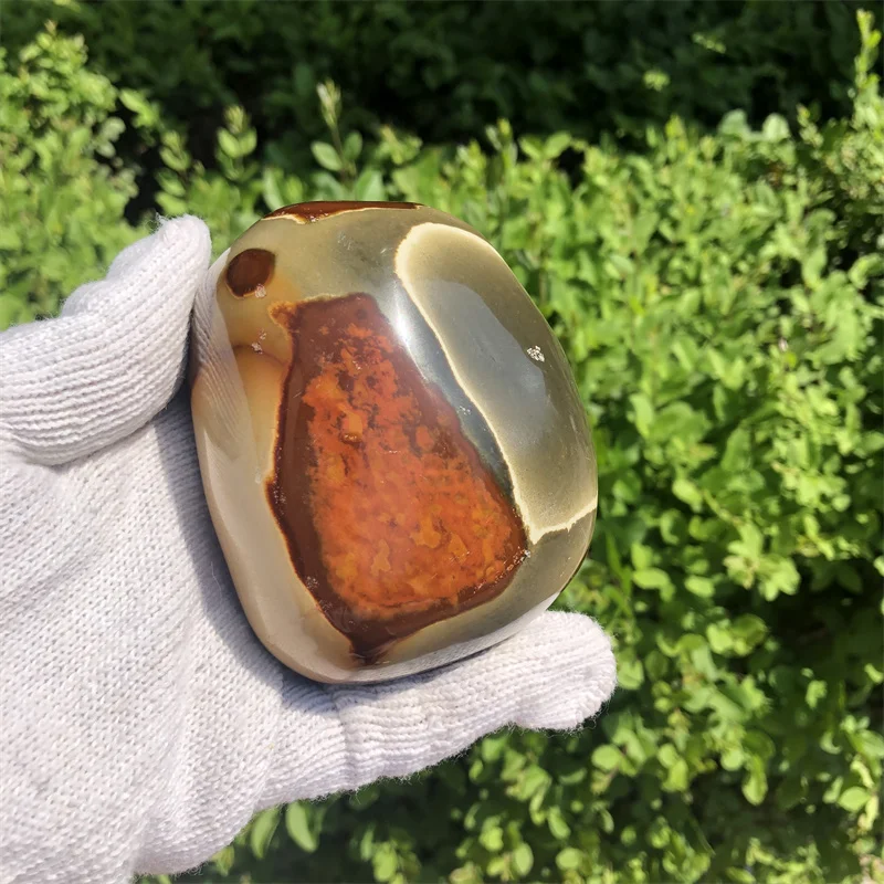703 г Натуральный кварц Полированные целебные кристаллы Ocean Jasper Для украшения домашнего декора
703 г Натуральный кварц Полированные целебные кристаллы Ocean Jasper Для украшения домашнего декора