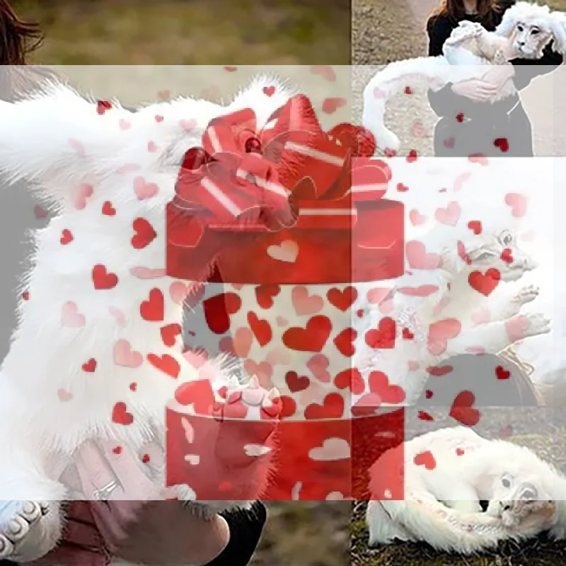 【BS】Falcore Luck Dragon Plush Toy, Falkor From The Neverending Story, Gift For Birthday, Party
【BS】Falcore Luck Dragon Plush Toy, Falkor From The Neverending Story, Gift For Birthday, Party