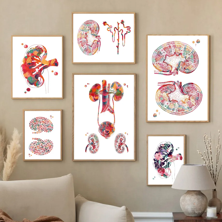 Nordic Style Human Kidneys Anatomy Urology Urinary Tract Wall Art Canvas Painting Medical Decor Poster for Home Office
Nordic Style Human Kidneys Anatomy Urology Urinary Tract Wall Art Canvas Painting Medical Decor Poster for Home Office