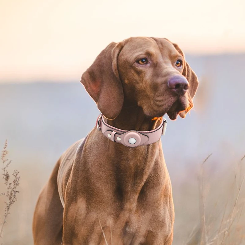 2024, новый дизайн, оптовая продажа, отличное качество, регулируемые ошейники из искусственной кожи для домашних животных, набор ошейников для собак с GPS-слеживанием
2024, новый дизайн, оптовая продажа, отличное качество, регулируемые ошейники из искусственной кожи для домашних животных, набор ошейников для собак с GPS-слеживанием