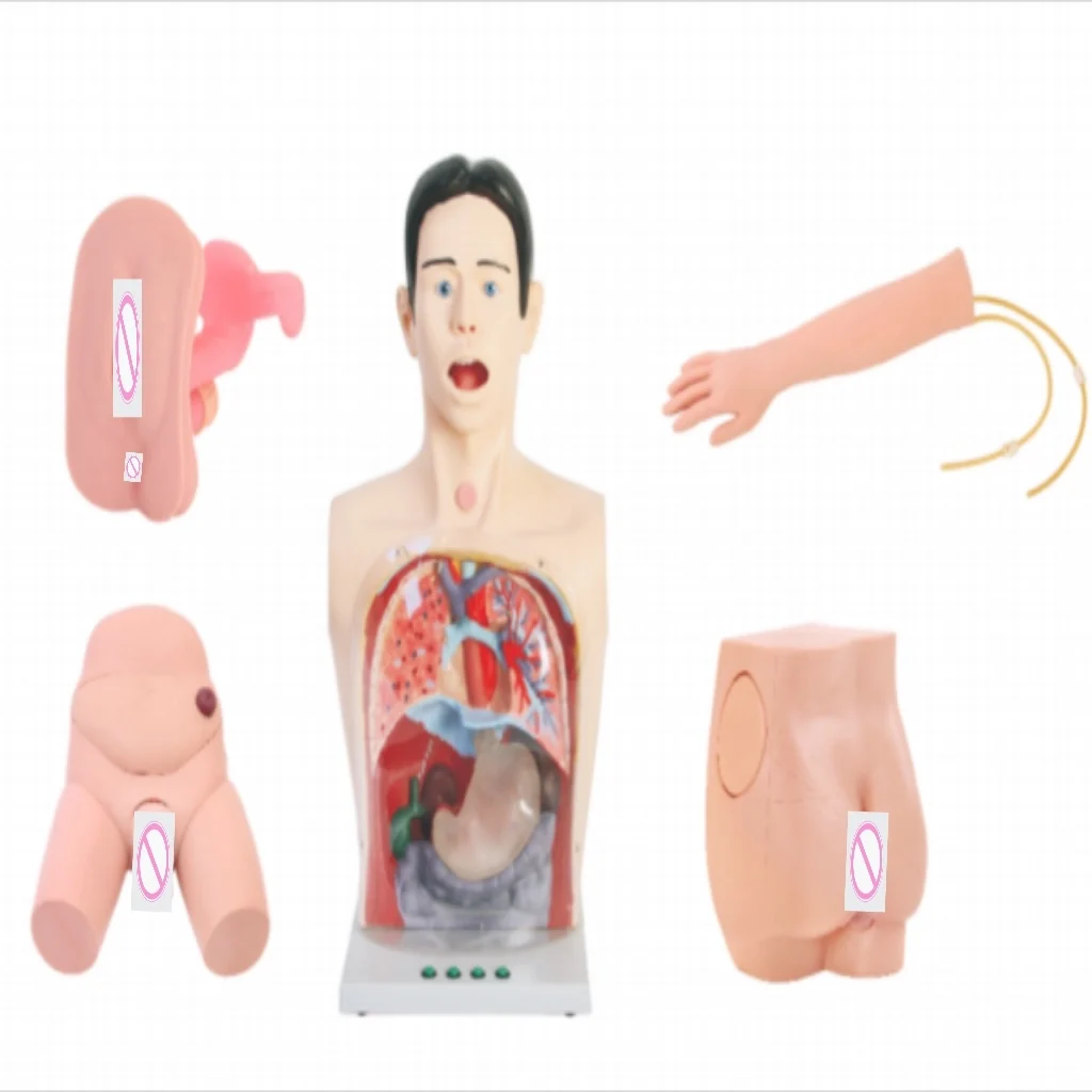 Multifunctional Clinical Nursing Training Manikin Medical Science Supplies Clear Gastric Lavage Adult and Pediatric Care Model
Multifunctional Clinical Nursing Training Manikin Medical Science Supplies Clear Gastric Lavage Adult and Pediatric Care Model