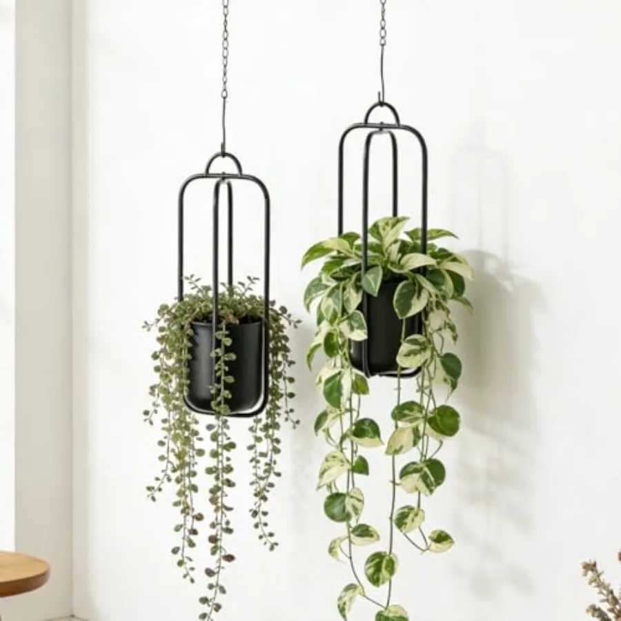 Hanging Planters for Indoor Plants Black Modern Hanging Pots for Plants 5.5 Inch, Metal Hanging Baskets Window Plant Hanger Cei
Hanging Planters for Indoor Plants Black Modern Hanging Pots for Plants 5.5 Inch, Metal Hanging Baskets Window Plant Hanger Cei