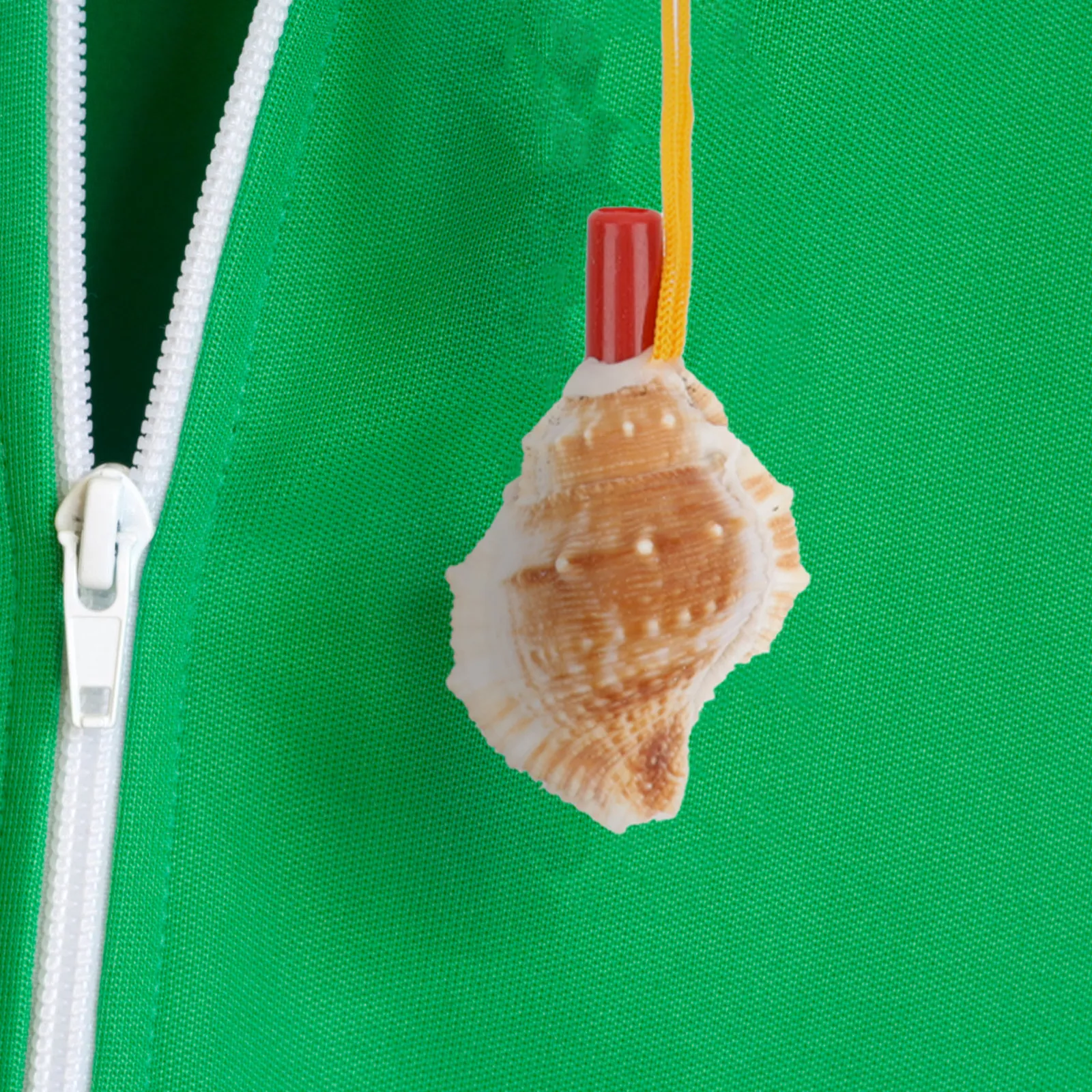 10 шт. ярких разноцветных пластиковых свистков-ракушек, гудки для вечеринок, подарки на день рождения, свистки для игр на открытом воздухе
10 шт. ярких разноцветных пластиковых свистков-ракушек, гудки для вечеринок, подарки на день рождения, свистки для игр на открытом воздухе