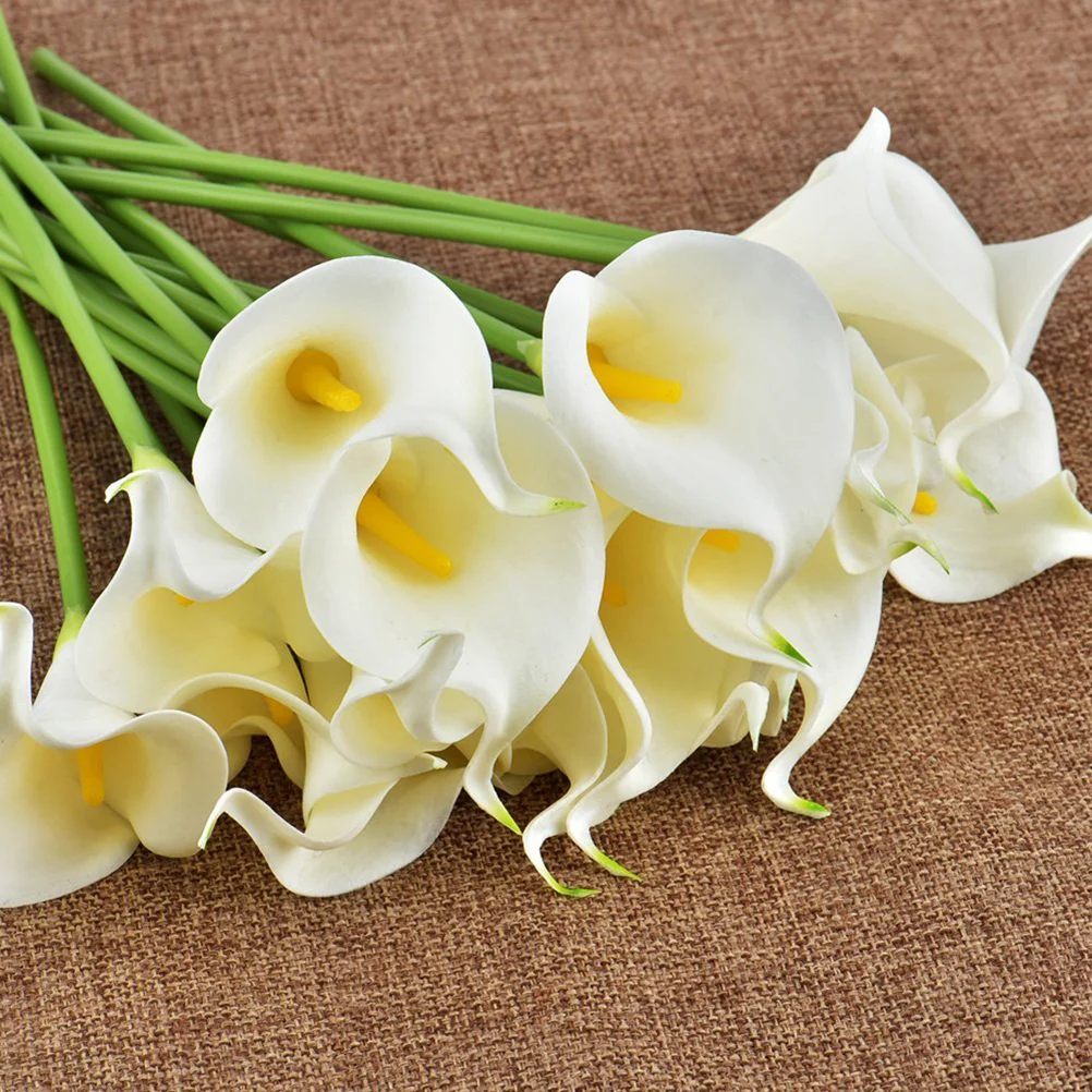 20pcs Artificial Bridal Wedding Bouquet Flowers Real Touch Decorative Bouquet (White) artificial flowers
20pcs Artificial Bridal Wedding Bouquet Flowers Real Touch Decorative Bouquet (White) artificial flowers