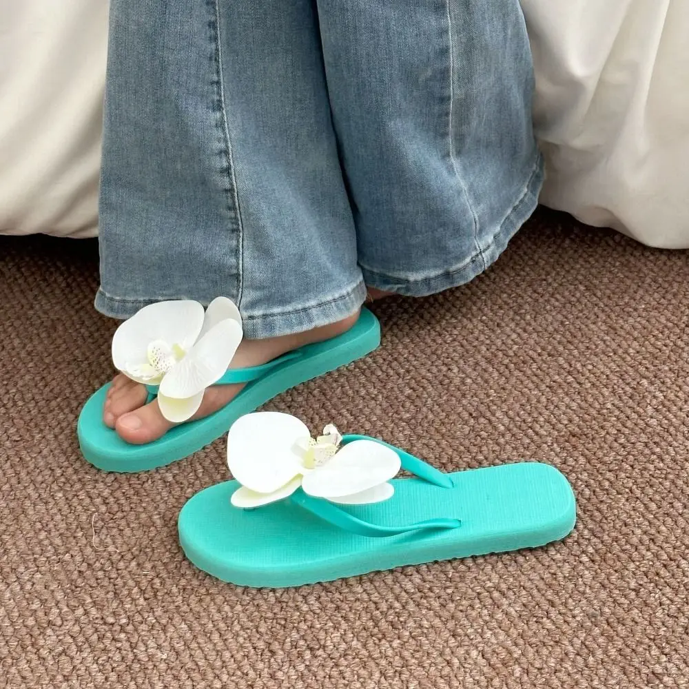 Daily Sweet Butterfly Orchid Slipper Cute Summer Vacation Flower Flip Flops Elegant Out Wear Women's Sandals Beach
Daily Sweet Butterfly Orchid Slipper Cute Summer Vacation Flower Flip Flops Elegant Out Wear Women's Sandals Beach