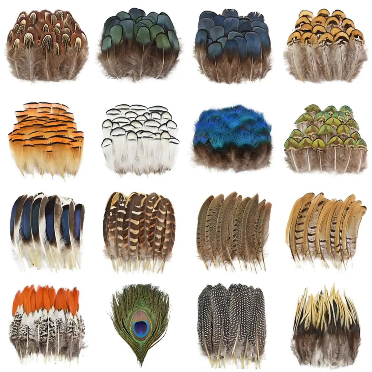 3-7cm Natural Pheasant, Peacock & Eagle Small Plumes Wholesale Feathers for Crafts, Jewelry Making, Holiday Decor & Fly Tying"
3-7cm Natural Pheasant, Peacock & Eagle Small Plumes Wholesale Feathers for Crafts, Jewelry Making, Holiday Decor & Fly Tying"