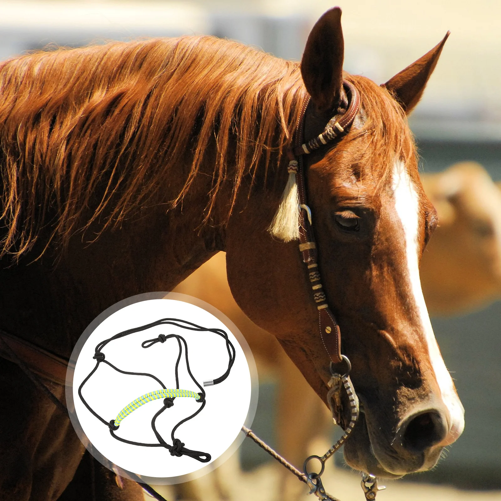 s Adjustable Braided Rope Comfortable Bitless Bridle for Horses Portable Nylon Horse Headstall Use Anti Wear
s Adjustable Braided Rope Comfortable Bitless Bridle for Horses Portable Nylon Horse Headstall Use Anti Wear