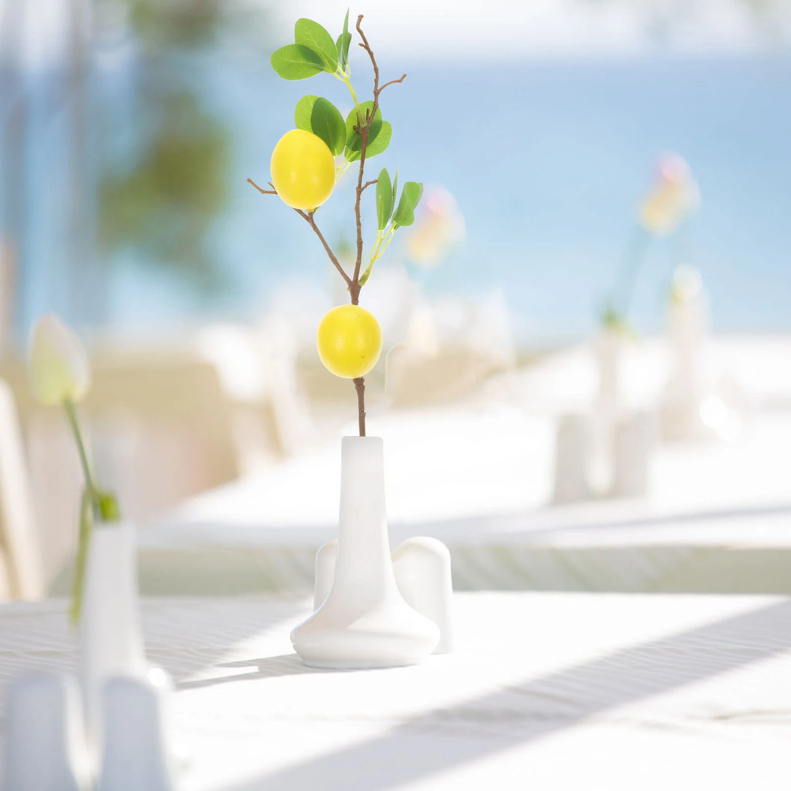 2 Pcs Artificial Foam Lemon Fruit Green Plant Indoor Decor Simulated Lemon Branch Decorative Faux Plants Home Office Accessories
2 Pcs Artificial Foam Lemon Fruit Green Plant Indoor Decor Simulated Lemon Branch Decorative Faux Plants Home Office Accessories