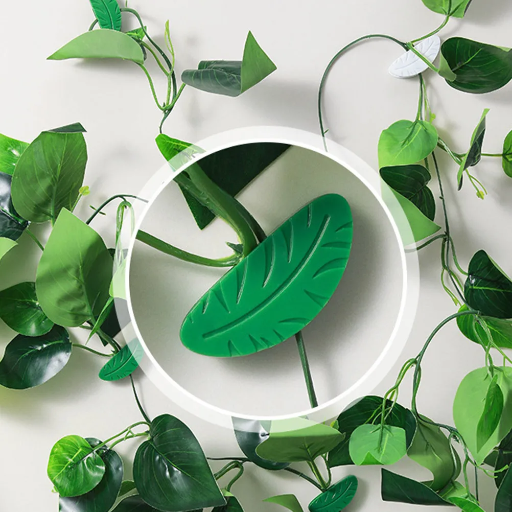 8pcs Leaf Design Durable Climbing Wall Clip For Vines Stem Vine Fixed Clips Support Garden Trellis Clips
8pcs Leaf Design Durable Climbing Wall Clip For Vines Stem Vine Fixed Clips Support Garden Trellis Clips