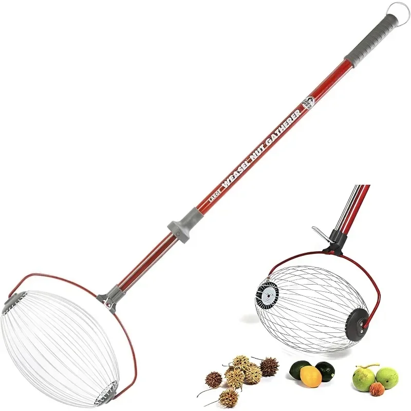 Nut Gatherer-Large Cage | Pick Up Walnuts, Small Apples, Citrus Fruits |Nut Collector and Picker Upper Roller with Cage Spreader
Nut Gatherer-Large Cage | Pick Up Walnuts, Small Apples, Citrus Fruits |Nut Collector and Picker Upper Roller with Cage Spreader