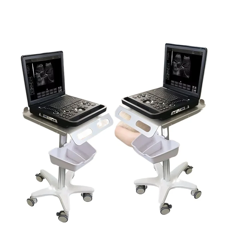 Portable Color Doppler Ultrasound Animal Handheld Veterinary Ultrasound Machine 
Portable Color Doppler Ultrasound Animal Handheld Veterinary Ultrasound Machine