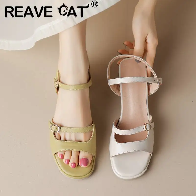 REAVE CAT Лаконичные женские босоножки с открытым носком на массивном каблуке 5 см с пряжкой и ремешками Размер 40 41 42 43 Мягкая элегантная женская обувь
REAVE CAT Лаконичные женские босоножки с открытым носком на массивном каблуке 5 см с пряжкой и ремешками Размер 40 41 42 43 Мягкая элегантная женская обувь