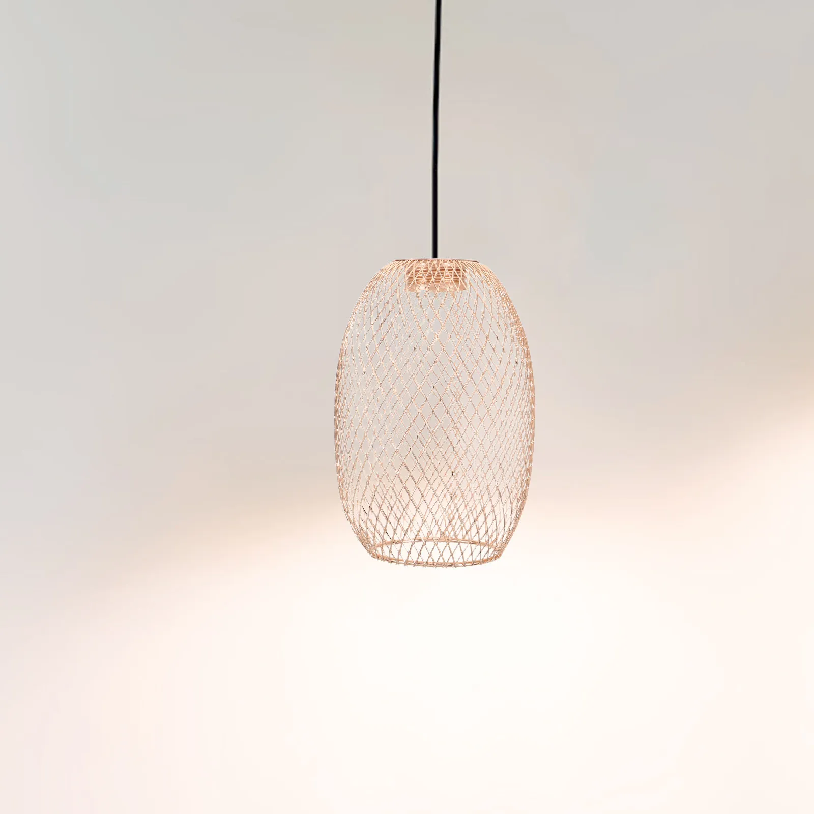 2Pcs Iron Hollow Out Oval Lamp Shade Replacement for Pendant Ceiling Lights Vintage Double Hole Design
2Pcs Iron Hollow Out Oval Lamp Shade Replacement for Pendant Ceiling Lights Vintage Double Hole Design