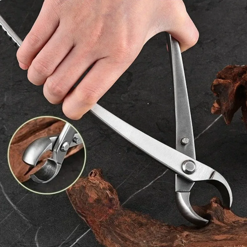 Профессиональные садовые плоскогубцы, экономящие усилия, противоскользящая ручка, многофункциональные плоскогубцы для обрезки, портативные нержавеющие ручные инструменты
Профессиональные садовые плоскогубцы, экономящие усилия, противоскользящая ручка, многофункциональные плоскогубцы для обрезки, портативные нержавеющие ручные инструменты