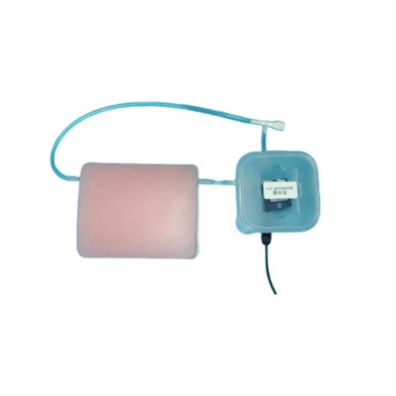 unique Medical Science Vascular Puncture Model Ultrasound Guided Vascular Puncture Model for Teaching and Training
unique Medical Science Vascular Puncture Model Ultrasound Guided Vascular Puncture Model for Teaching and Training